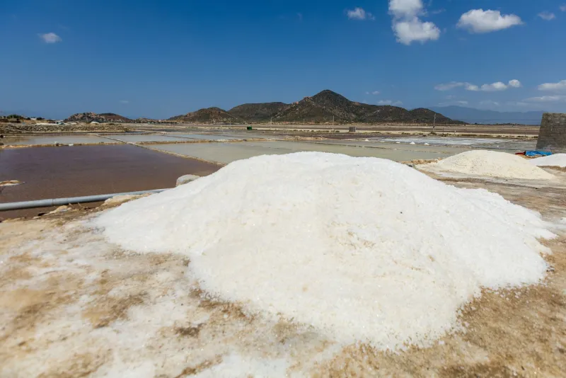 White Gold and Coastal Craft: Road-Tripping America's Artisanal Salt Harvest Trail