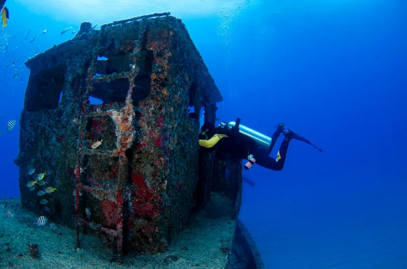 Sunken Legends: The Best Beginner-Friendly Shipwreck Dives Along America's Coastlines