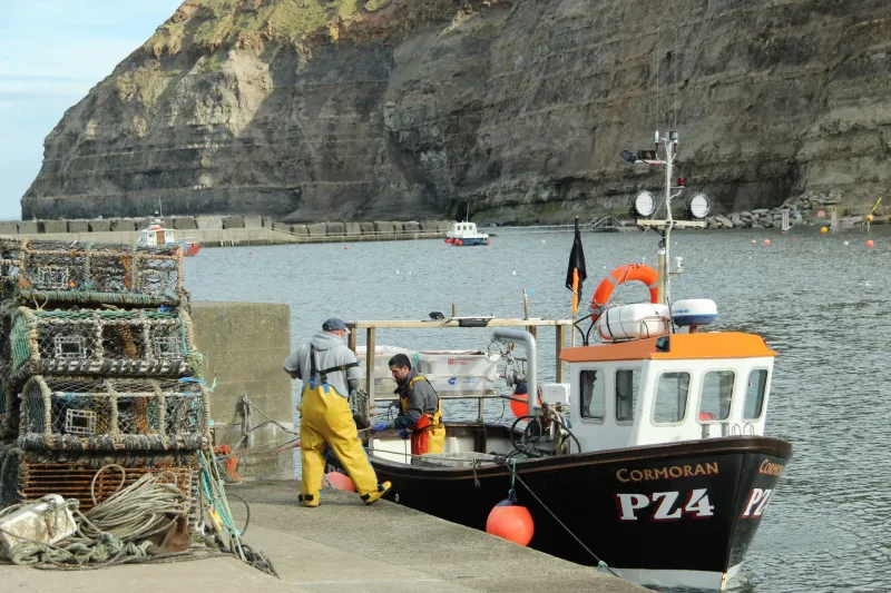 From the Dock to the Table: America's Best Coastal Journeys for the Seafood-Obsessed Traveler