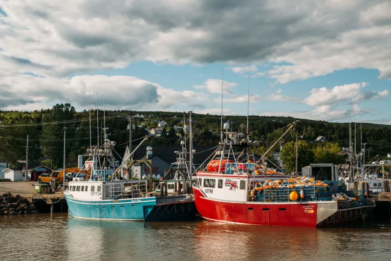 Forget the Cruise Terminal: America's Best-Kept Harbor Towns Worth the Detour
