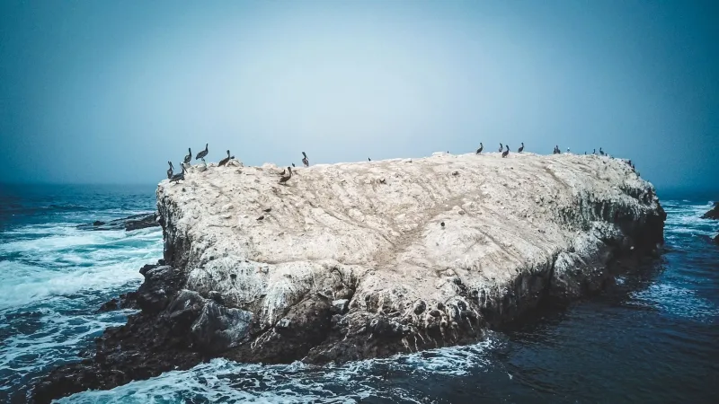 Tune In, Drop In: Using Sound to Find the Coast's Most Spectacular Hidden Beaches