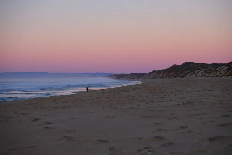 The Sound of Nothing: America's Quietest Coastlines Are Calling — and People Are Actually Listening